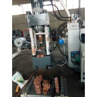 天津市全自動銅屑壓塊機密封裝置的應用Y